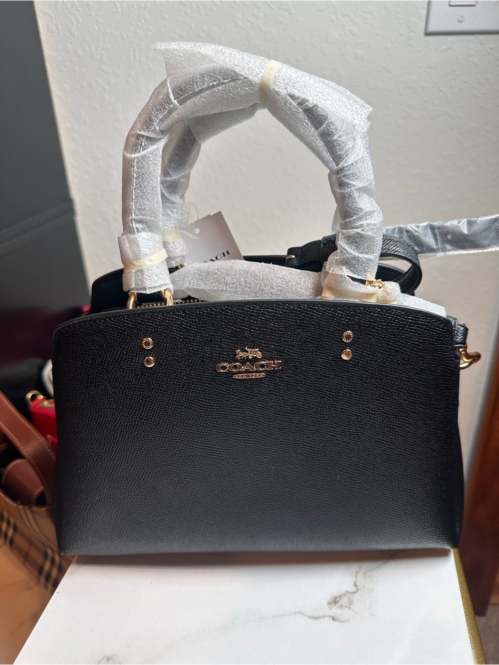 COACH MINI LILLIE CARRYALL